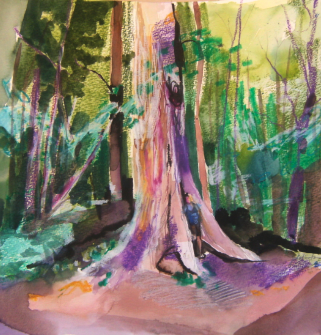 mixed media drawing of jessie dodington in forest with very large tree