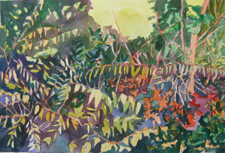watercolour of leaves and forest