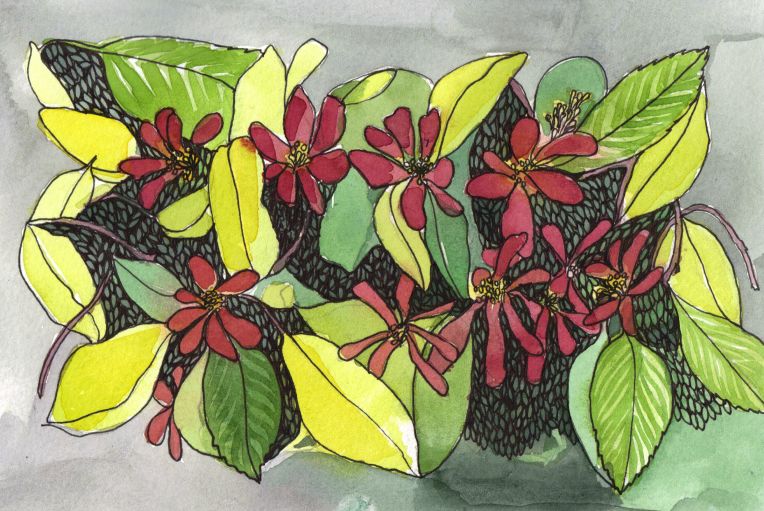 ink and watercolour drawing of floral pattern