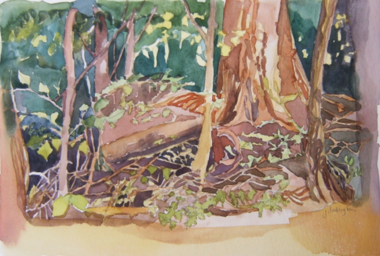 watercolour of forest and stump and twigs